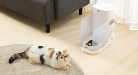 ca6c81e0 cee8 452e 94ef 6a0229e25838.png